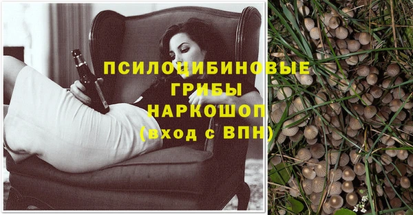 трава Богородицк