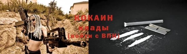 трава Богородицк