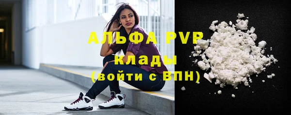 ECSTASY Богданович