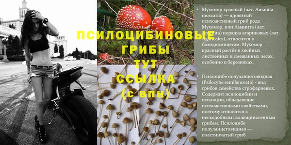 ECSTASY Богданович