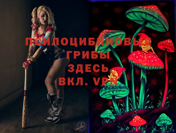 трава Богородицк