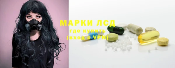 ECSTASY Богданович
