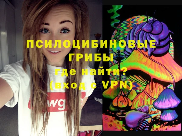 ECSTASY Богданович