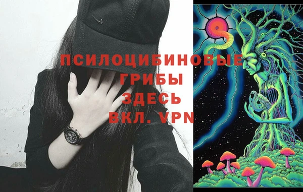 ECSTASY Богданович